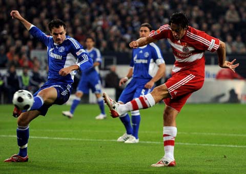 获得了大量 获得了大量